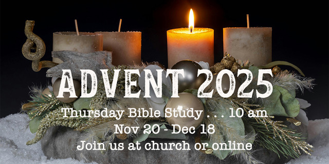 Prepare Your Heart for Christ with Bishop Barron’s Advent Reflections